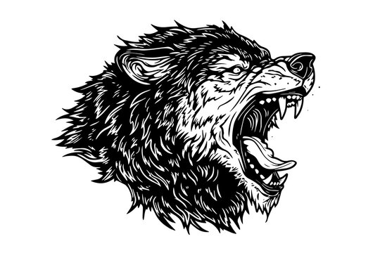 Angry wolf head hand drawn ink sketch. Engraving vintage style vector illustration. Design for logotype, mascot, print.