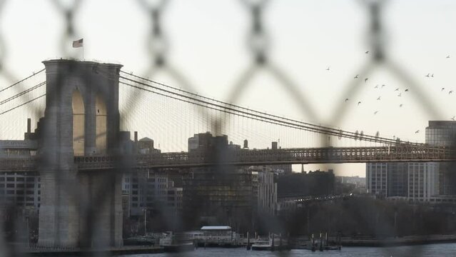 Birds flying over Brooklyn Bridge at dusk