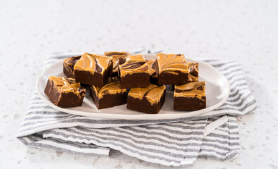 Chocolate fudge with peanut butter swirl