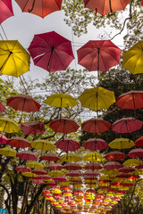 Fototapeta na wymiar cobertura de guarda chuvas coloridos na cidade de Holambra, Estado de São Paulo, Brasil