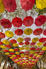 Fototapeta na wymiar cobertura de guarda chuvas coloridos na cidade de Holambra, Estado de São Paulo, Brasil