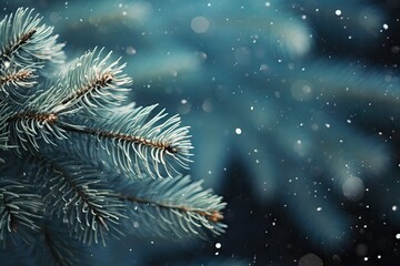 Fototapeta na wymiar fir branches tree image christmas fall detail snow blue banner new magic year forest spruce winter