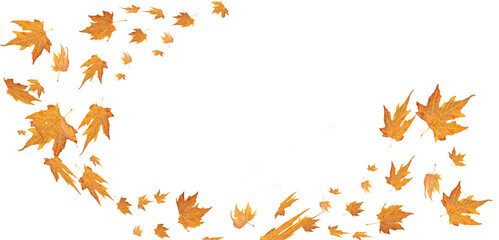 autumn leaves leaf brown, flying fly wind air background  space for your text