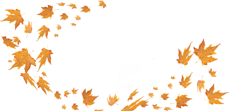 autumn leaves leaf brown, flying fly wind air background  space for your text