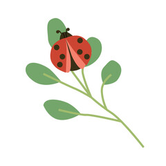 cute ladybird red bug on a leaf decorative vector