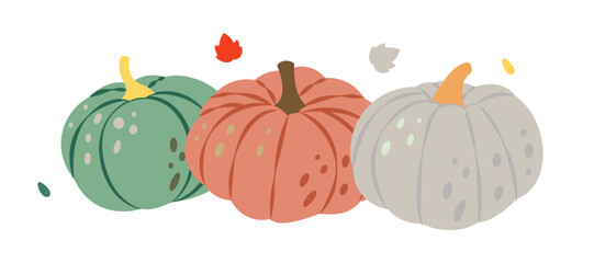 Pumpkins. Autumn pumpkins. Autumn halloween vegetables. Vector illustration.