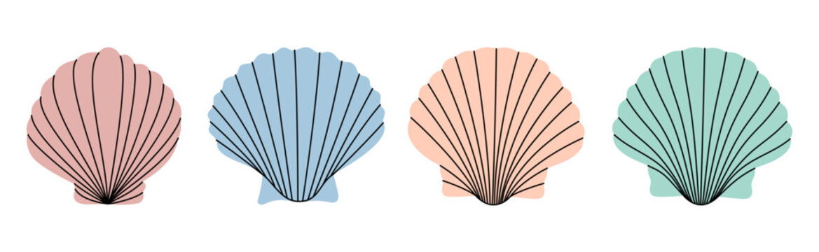 Set of sea shells. Sea shells, mollusks, scallop, pearls. Tropical underwater shells. Vector illustration.