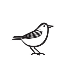 a bird that sits on a white background, in the style of black and white drawings