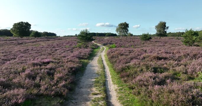 Aerial drone view of Bussummerheide.