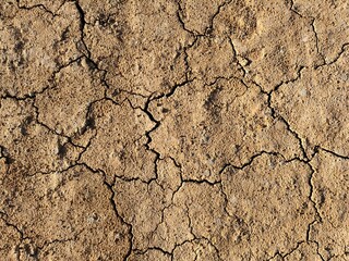 Brown dry soil or desert cracked ground texture background,land arid earth warming.