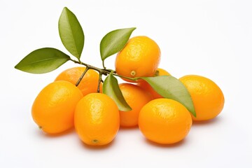 kumquat with leaves