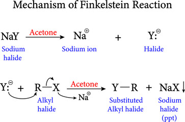 Mechanism of Finkelstein Reaction.Vector illustration 