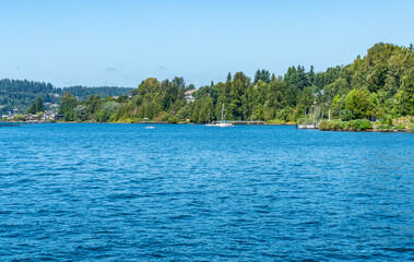 Renton Park Shoreline