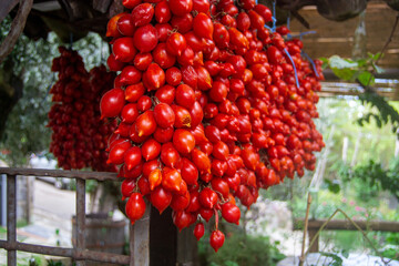 Italy, Positano, Napoli, Amalfi Coast, Capri
