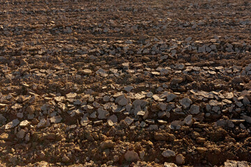 Tierra de cultivo muy seca y cuarteada, sequía