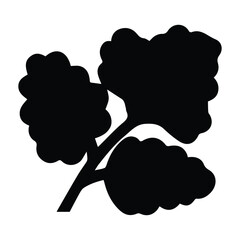 Coriander, herb, leaves icon