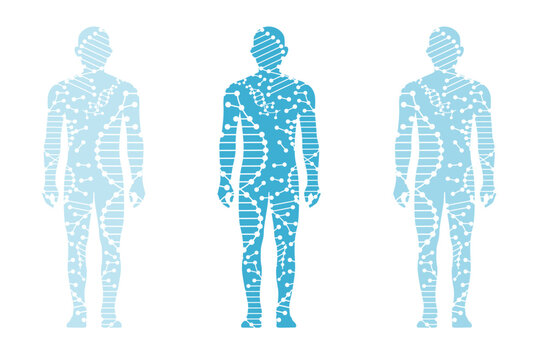 medical science and technology illustration, blue human body and dna icon , gene and molecule isolated on white background.