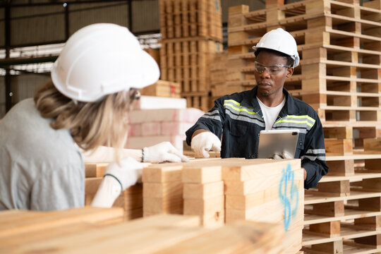 Young female and male warehouse workers using digital tablet for working in wooden factory, Checking the neatness of the planks