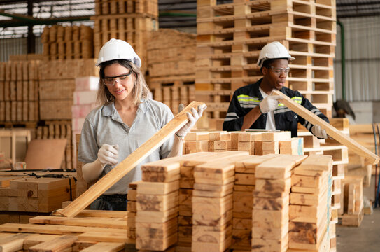 Young female and male warehouse workers using digital tablet for working in wooden factory, Checking the neatness of the planks