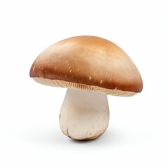 Fresh Boletus Mushroom Isolated on White Background. Generative ai