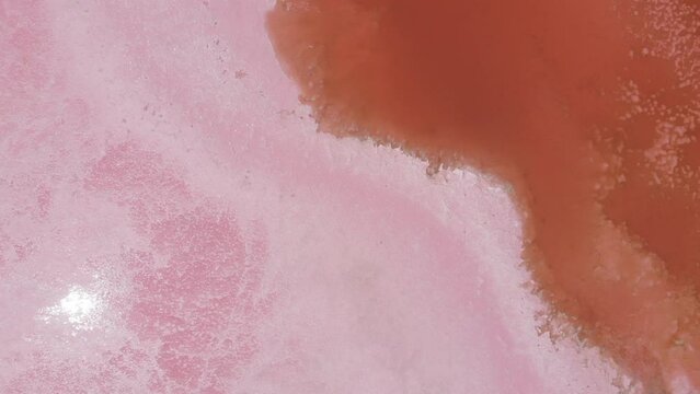 Aerial top-down view of the pink-colored salt lake called 'Hutt Lagoon' in Geraldton, Western Australia. Amazing deep red and pink colors of a lake caused by minerals and bacteria. Aerial, drone shot.