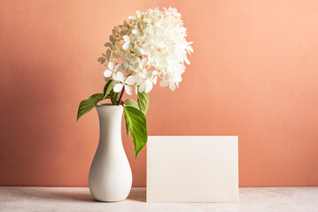Hydrangea flower and blank card