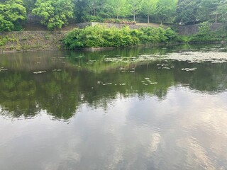 ある池