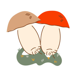 Mushroom boletus edible delicious plant, flat cartoon vector illustration isolated on white background. Mushroom organic healthy product for cooking.