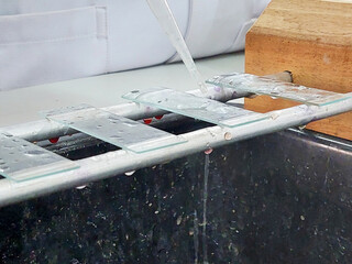 Preparation of slides before staring test