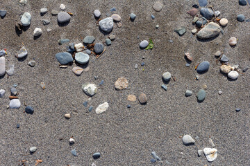 Fototapeta na wymiar River bottom, shallow shore, sandy bottom and small fractions of stones.