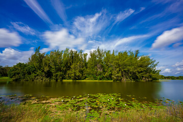 Beautiful Florida landscape with pond and trees. Long exposure with motion blur in trees and water