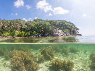 Split underwater view of Anse Royale beach