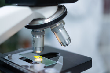 Close up of microscope with a sample of plants, herbal tissue or cells in biotechnology research laboratory. Analyzing, discovery and experiment of plant genetic, microbiology. Eco farming exploration