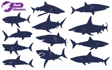 sea animal Shark silhouettes Vector illustration