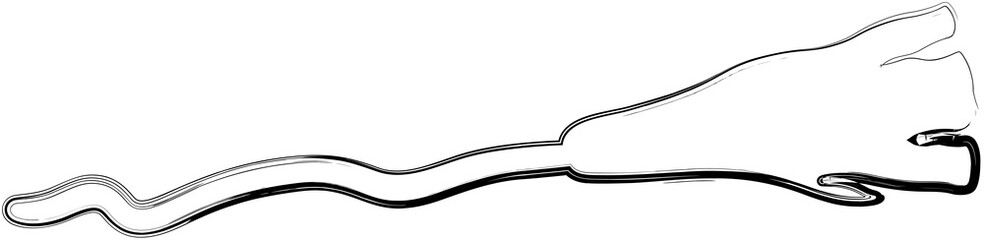 Broom halloween decoration holiday elements.