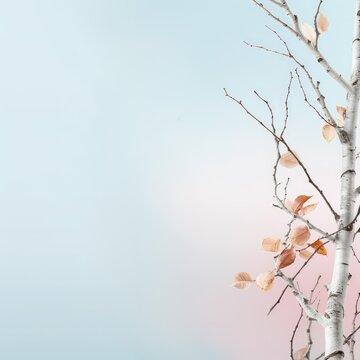 pastel background with tree. place for text. birch, aspen. spring banner. autumn poster