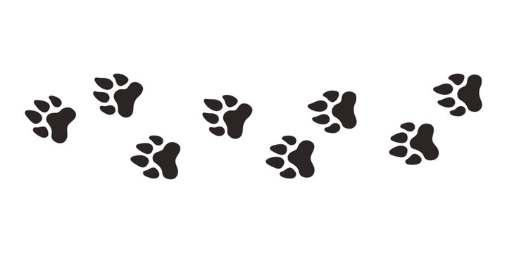 Lion paws. Animal paw prints, vector different animals footprints black on white illustration