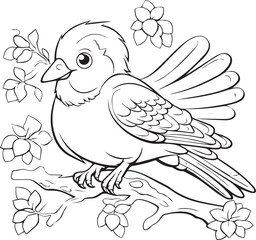 Coloring book bird theme