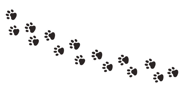Cat paws. Animal paw prints, vector different animals footprints black on white illustration