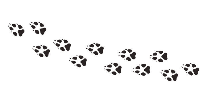 Fox paws. Animal paw prints, vector different animals footprints black on white illustration