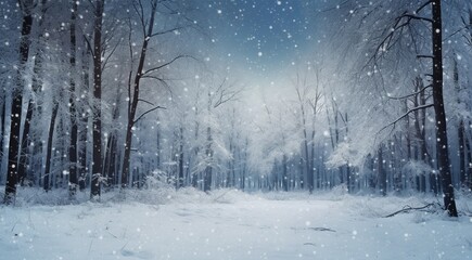 winter view with trees and snow, winter scene in winter, snowly road, snow in outdoor, winter seasone