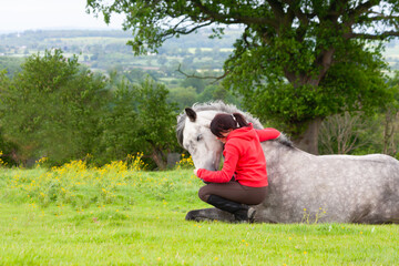 Loving moment between a pretty young woman and her beautiful dapple grey horse as horse lies in field and allows the girl to hug and stroke her on a sunny day.