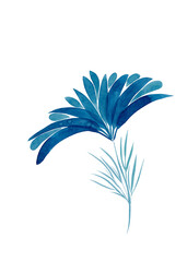 A blue flower with long petals on a thin stalk. Watercolor drawing for your design