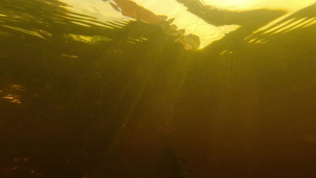 under water, shooting underwater rivers, yellow water