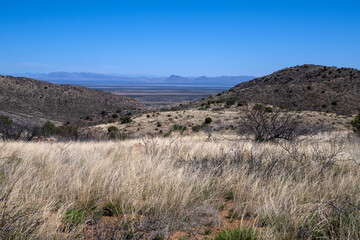 Fototapeta premium The beautiful Sonoran desert valley in Arizona