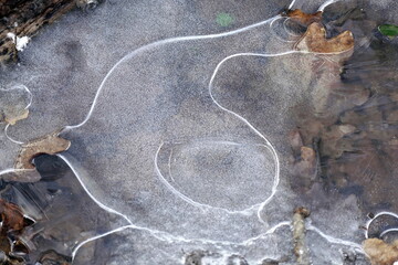 Eis auf einer Pfütze