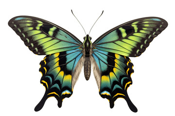 Luzon Peacock Butterfly Isolated on Transparent Background Generative AI