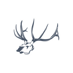 Head Deer bone vector illustration design. Head Deer logo design Template.