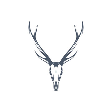 Head Deer bone vector illustration design. Head Deer logo design Template.