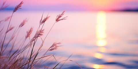 Obraz premium AI Generated. AI Generative. Pink and purple grass stem on lake sea water background. Soft pastel colors background. Lovely relax romantic vibe decoration